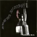 Heatseeker