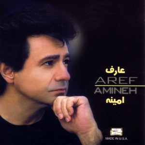 Amineh