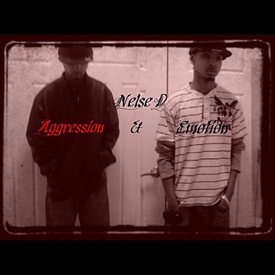 Aggression & Emotion