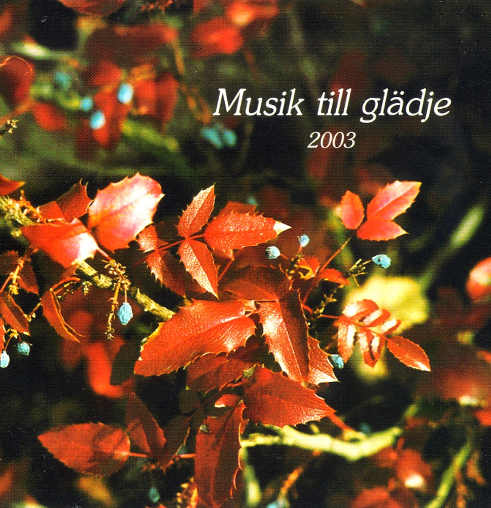Обложка альбома «Musik till Gladje 2003» — Kinga Prada, Anna Lindkvist, Karin Haglund, Lilla Akademien Ensemble, Alica Tserkovnaja & Felix Kierebinski