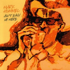 Mark Hummel - I Didn't Need Another Heartache