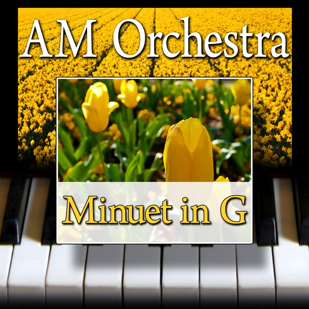 Обложка альбома «Minuet in G - Single» — AM Orchestra