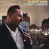 Albert King - Can't You See What You're Doing To Me