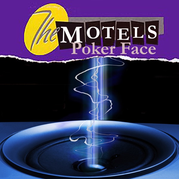 Poker Face (as made famous by Lady Gaga) album cover