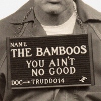 You Ain't No Good - The Bamboos