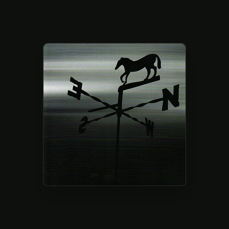 The North