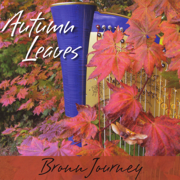Autumn Leaves - Bronn Journey