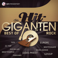 Verschiedene Interpreten - Best of Rock - Die Hit Giganten artwork