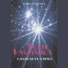Notte fantastica (Canzoni di Natale)