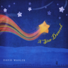 Reverie - David Wahler new Single