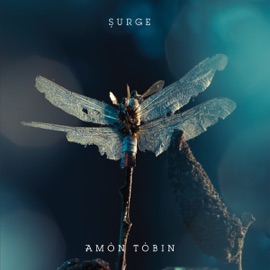 Surge (16Bit Remix) Amon Tobin