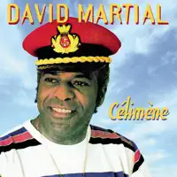 La fille du téléphone — David Martial