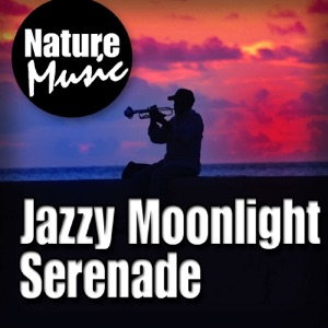 Jazzy Moonlight Serenade