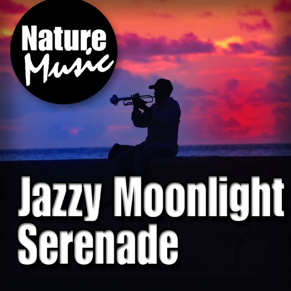 Jazzy Moonlight Serenade