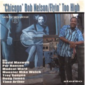 Chicago Bob Nelson - The Blues Never Die