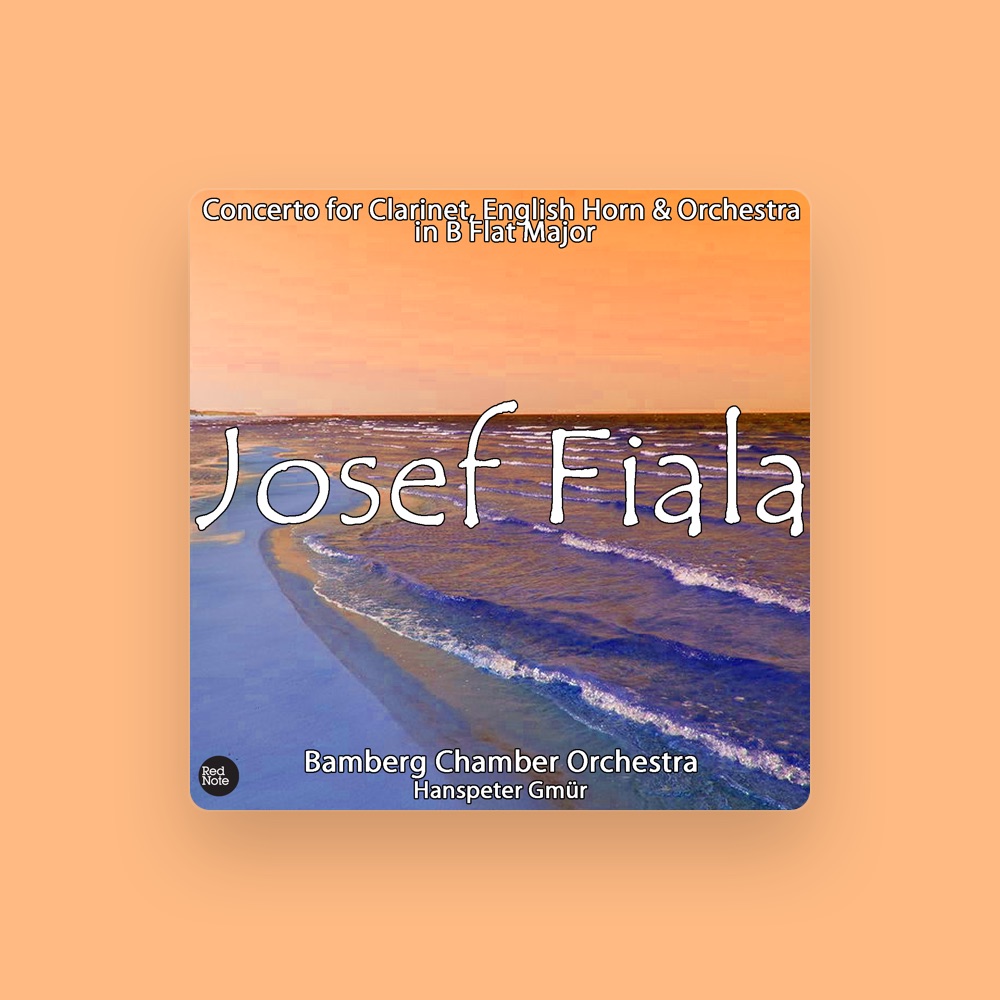 Фото Bamberg Chamber Orchestra
