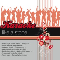 Karaoke: Sing Like a Rolling Stone - The Play Backs