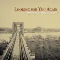 Looking For You Again