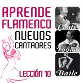 Aprende Flamenco: Nuevos Cantaores, Lección 10 artwork