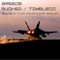 Timeless (Shaun Ansari Remix) - Breeze lyrics