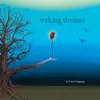 Chris Dingman - Clear the Rain
