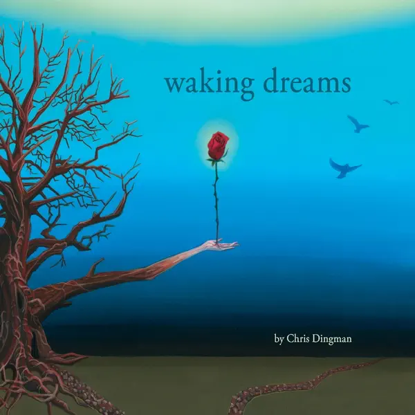 Clear the Rain — Chris Dingman