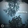 Cosmic Flute