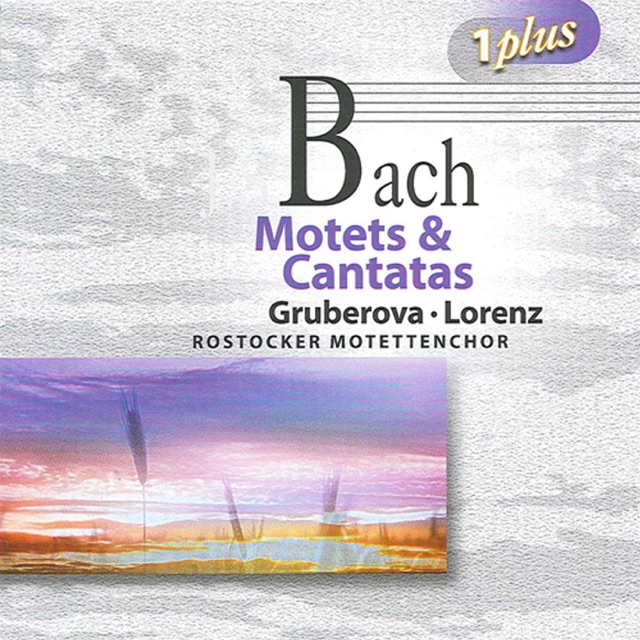 Der Geist hilft unser Schwachheit auf, BWV 226