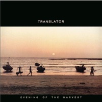 Translator - These Old Days