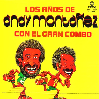 Los Años de Andy Montanez
