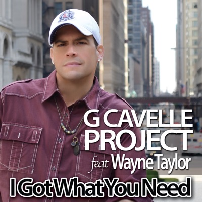 I Got What You Need (feat. Wayne Taylor) - Single
