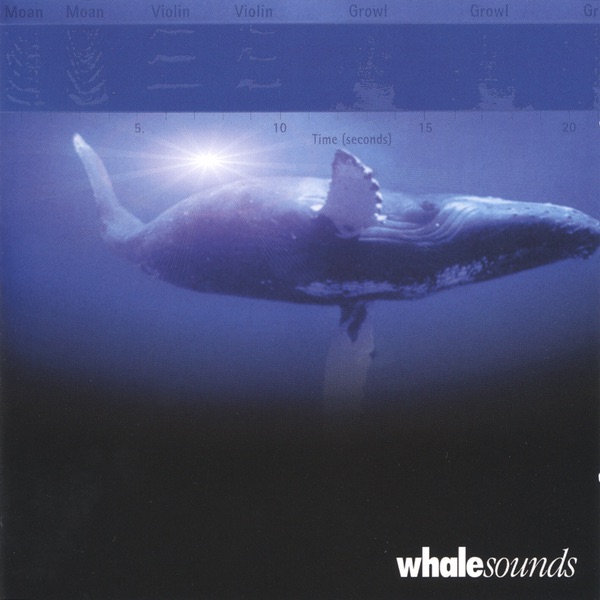 whalesounds