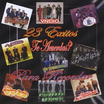 23 Éxitos Para Recordar