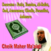 Sourates Fatir, Yassine, Al Safat, Sad, Azzoumar, Ghafir, Fussilat, Al Shura - Quran - Coran - Récitation Coranique artwork