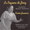 Pasión Flamenca