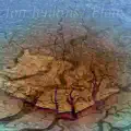 Ebb