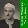 الشيخ محمد صديق المنشاوى - 013 - الرعد