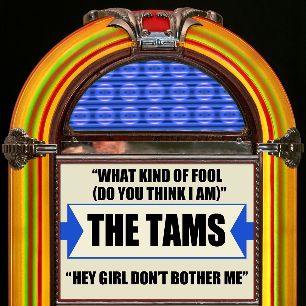 Обложка альбома «What Kind of Fool (Do You Think I Am) / Hey Girl Don't Bother Me - Single (Rerecorded Version)» — The Tams