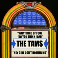 What Kind Of Fool — The Tams