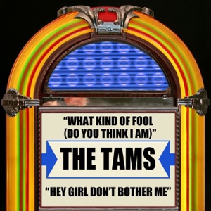 What Kind of Fool (Do You Think I Am) / Hey Girl Don't Bother Me - Single (Rerecorded Version)