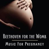 Beethoven for the Womb (Music For Pregnancy)