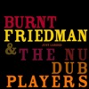 Burnt Friedman & The Nu Dub Players