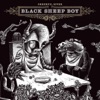 Okkervil River - No Key, No Plan