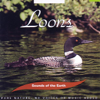 Loons - Sounds of the Earth new Single