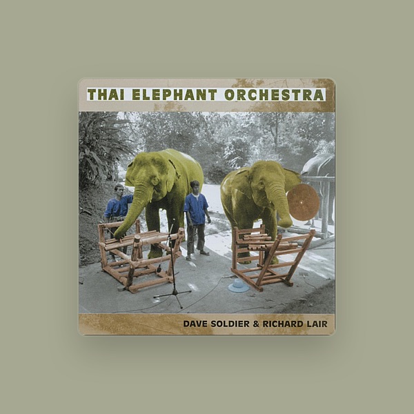 Thai Elephant Orchestra's avatar