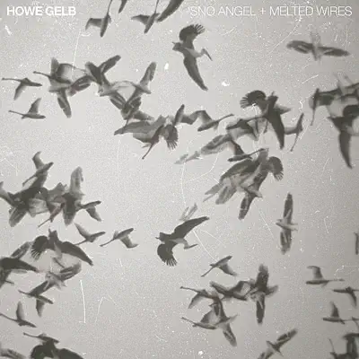 'Sno Angel & Melted Wires split 7" - Single - Howe Gelb