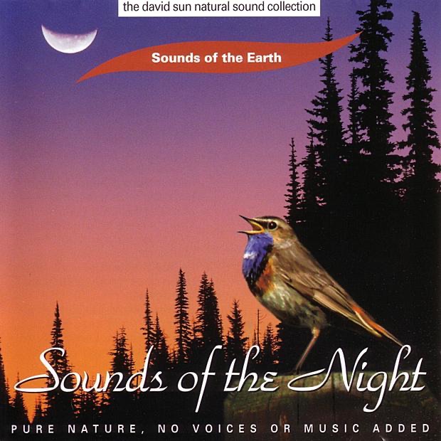 Sounds of the Night