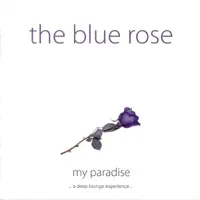 Magic Night — The Blue Rose