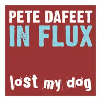 In Flux (Atjazz Sub Dub) — Pete Dafeet