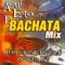 Mega Mix (Versión Extendida) - Anthony Santos, El Canario, Luis Segura, Raulin Rodriguez & Willy Castro lyrics